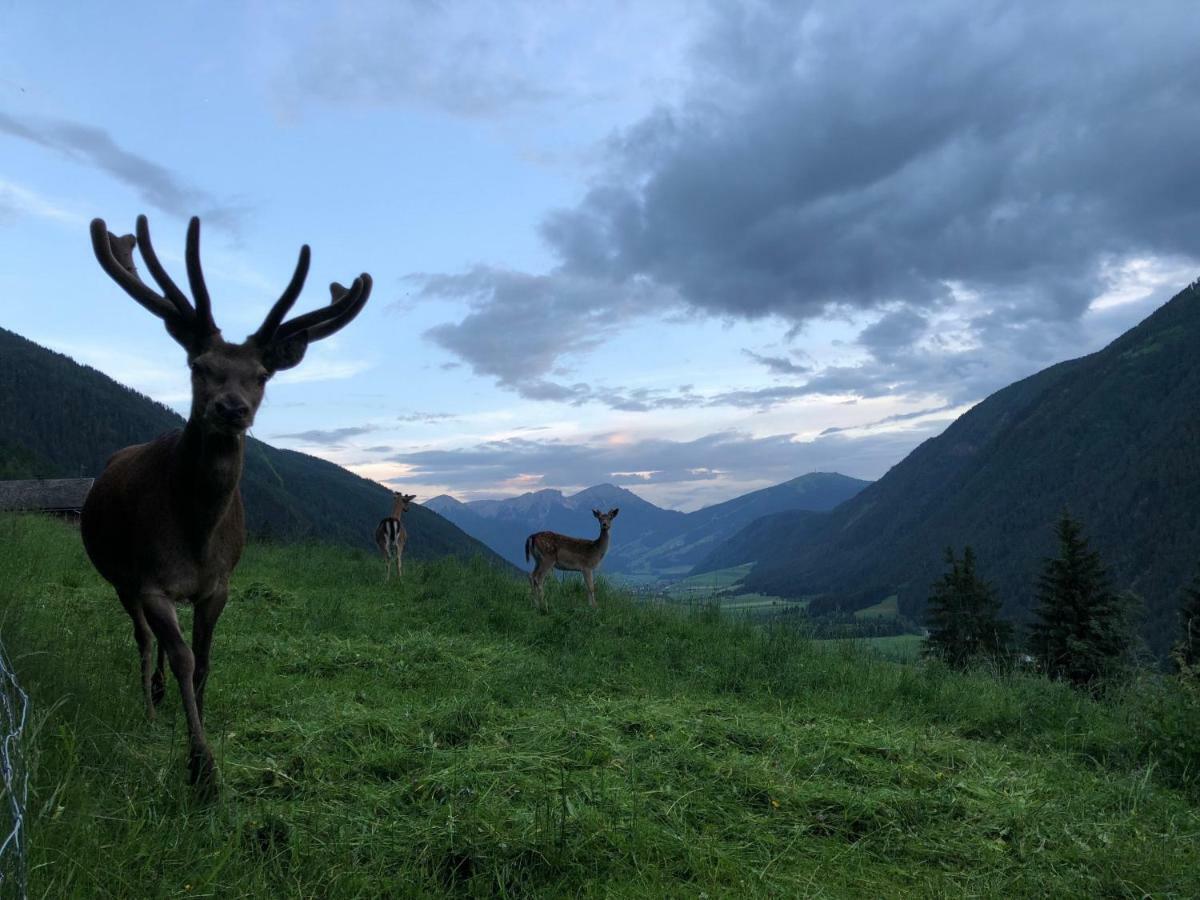 Apartments Sankt Walburg Anterselva di Mezzo Eksteriør bilde