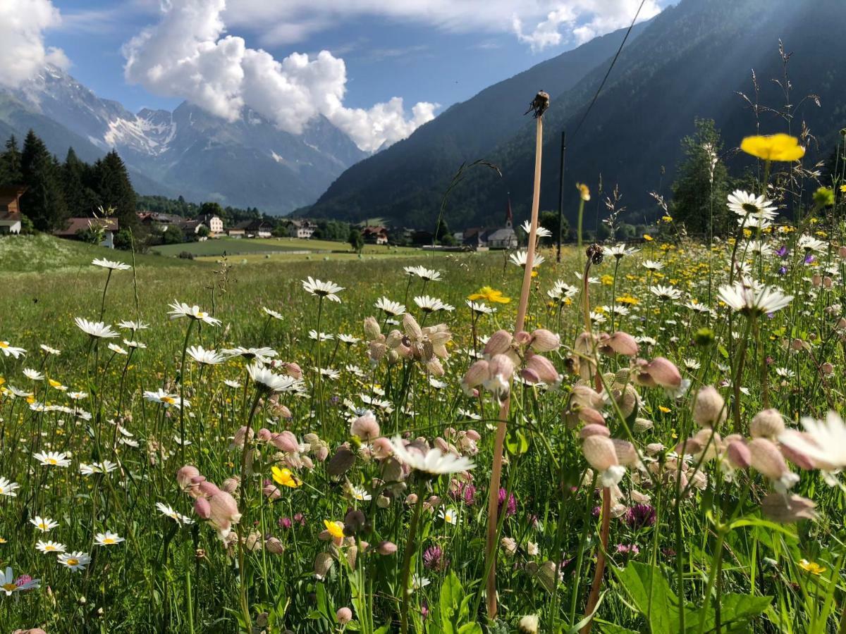 Apartments Sankt Walburg Anterselva di Mezzo Eksteriør bilde